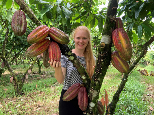 Behind the gnarled trunk of a cacao tree stands a young redheaded woman with her long hair tied back in a ponytail, smiling at the camera. Cacao pods grow from the trunk. The woman is wearing a black-and-white striped shirt and black pants. In her right hand, she is holding a cacao pod that is still attached to the trunk. Her fingernails are painted dark red.