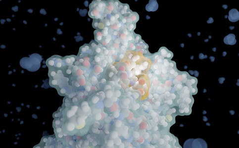 3D model of a bitter taste receptor and a ligand as the basis for AI-assisted prediction and design of bitter peptides.